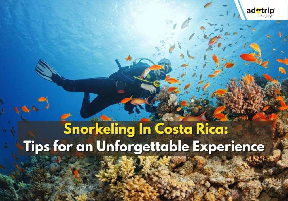 Snorkeling In Costa Rica